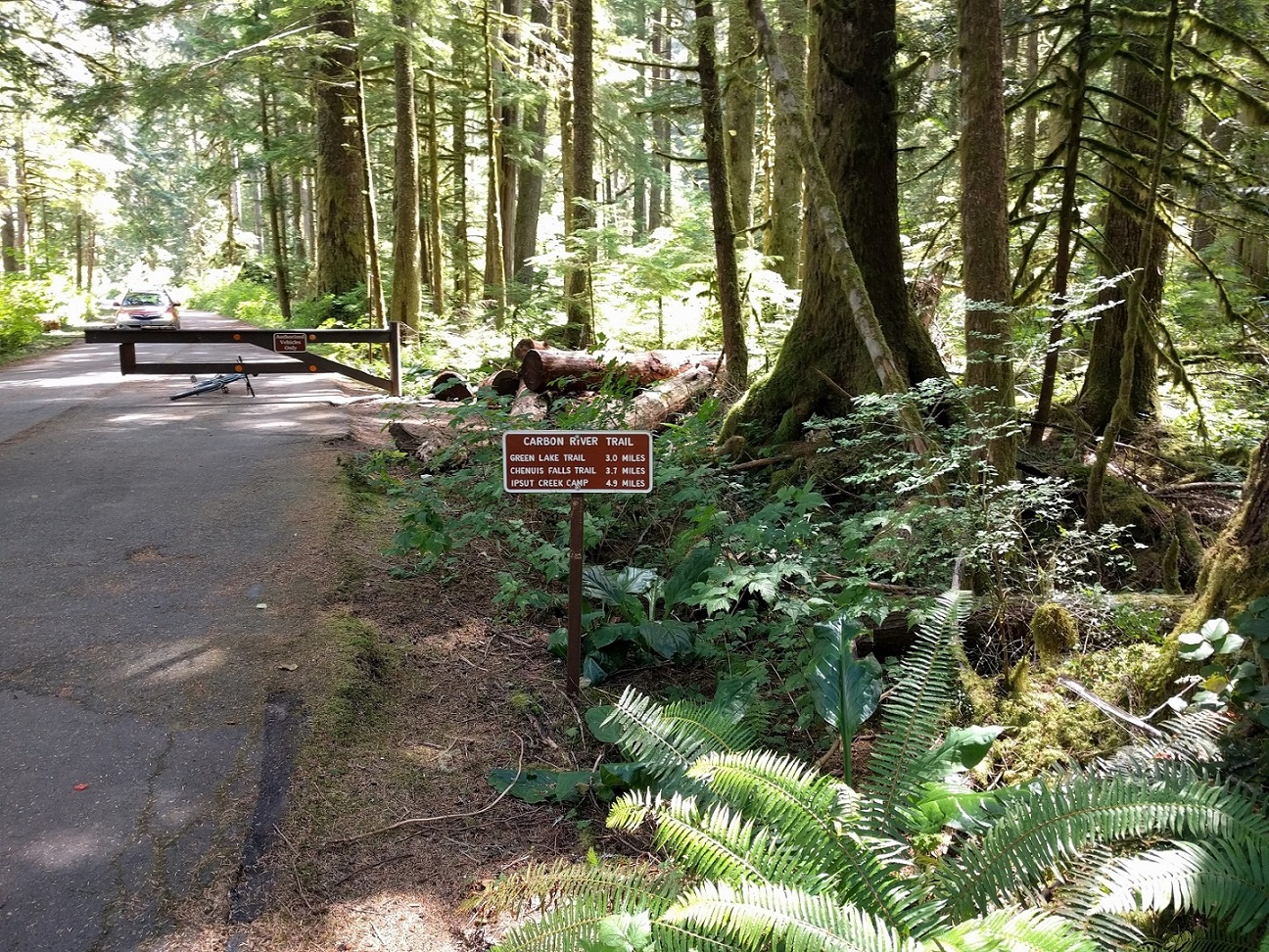 Carbon River Trailhead