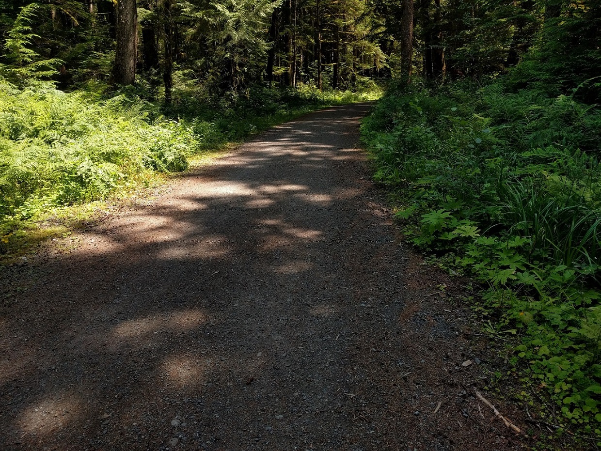 Road to Ipsut Creek